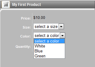 product_option_sample.gif